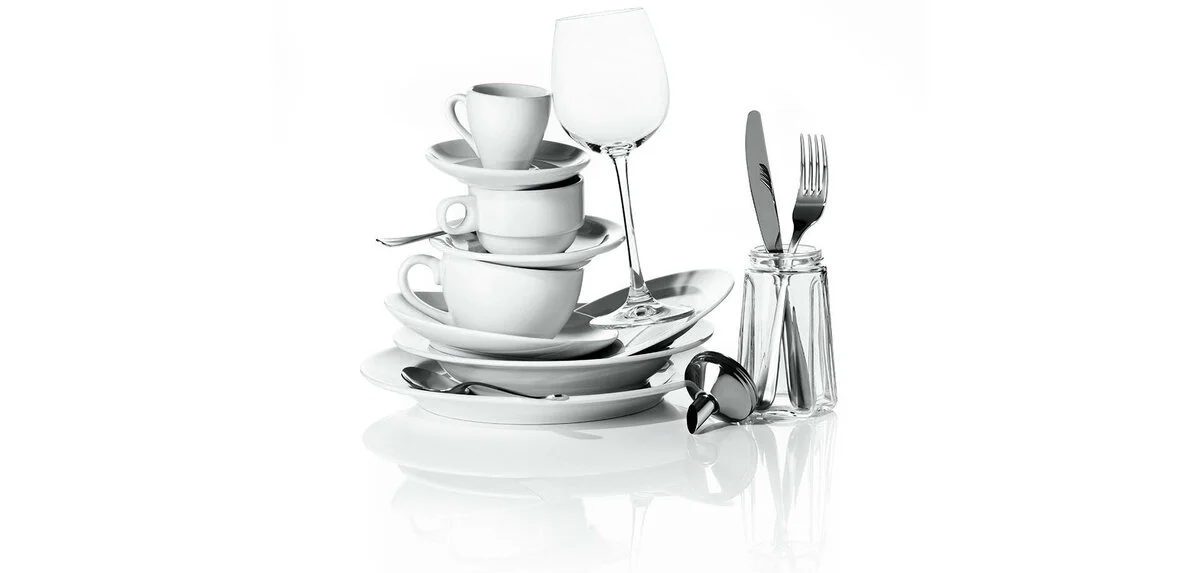 Professional Dishware